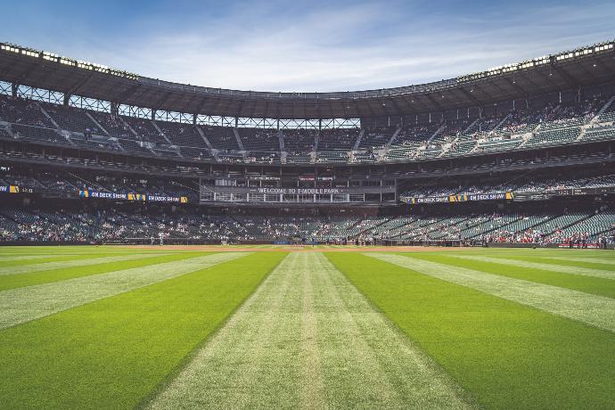 grass stadium field